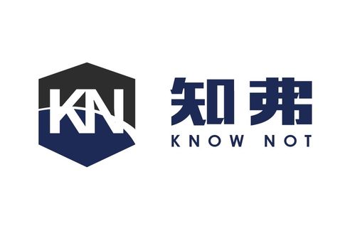 技術咨詢與技術服務的協同價值與業務發展路徑